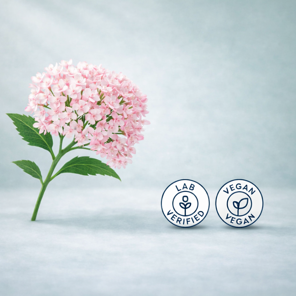 Restology ValerianRoot: Standardized Botanical Sleep Extract