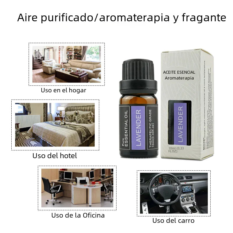 Lavender essential oil bottle with matching box, displayed alongside lavender field and usage scenes in home, hotel, office, .